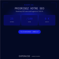 Audit SEO Shopify express Notion gratuit — bénéfices | EXPERAISE