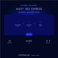 Audit SEO Shopify express Notion gratuit — hero | EXPERAISE