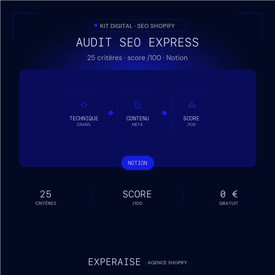 Audit SEO Shopify express Notion gratuit — hero | EXPERAISE