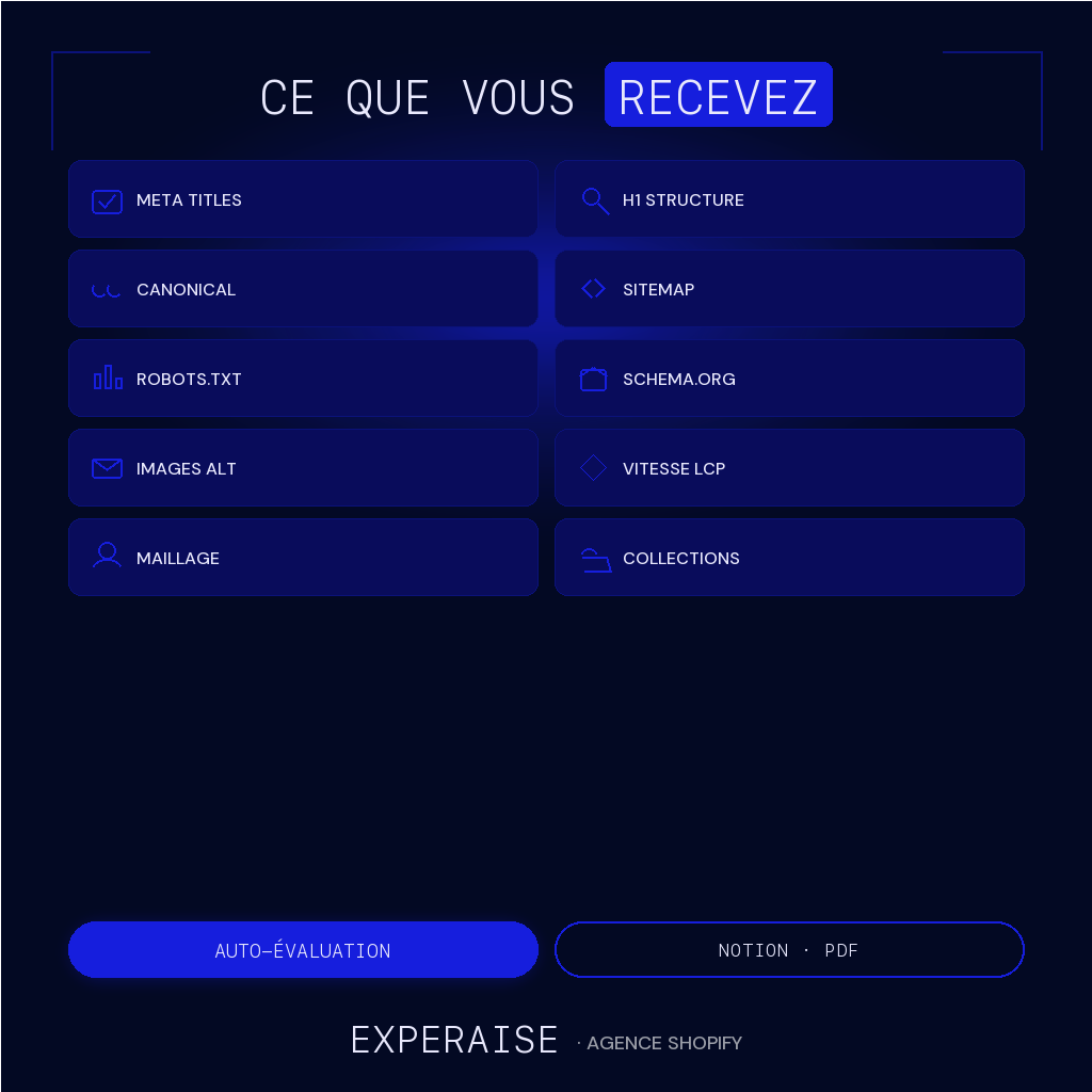 Audit SEO Shopify express Notion gratuit — contenu | EXPERAISE