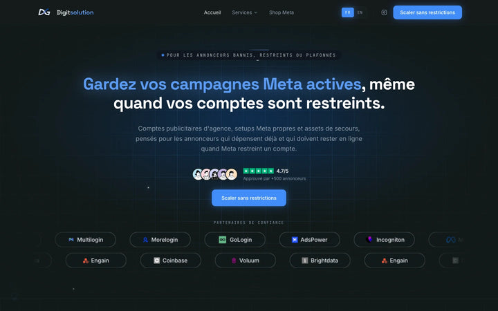 Capture de la page d’accueil de Digit Solution