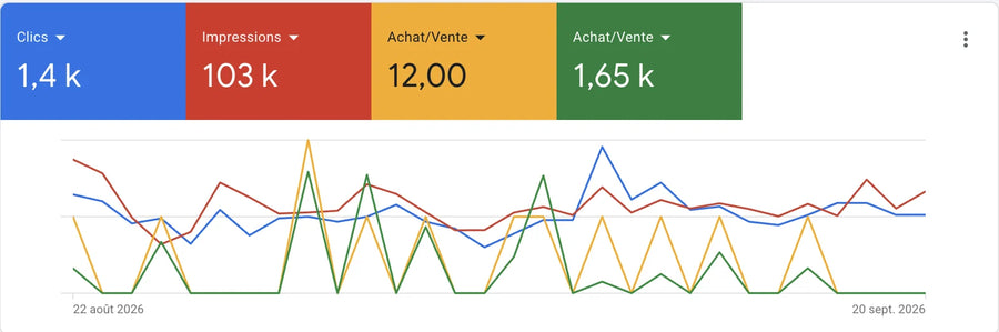 Google Ads · 30 jours