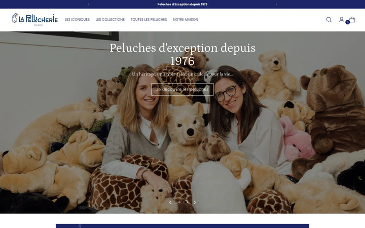 Capture de la page d’accueil de La Pelucherie
