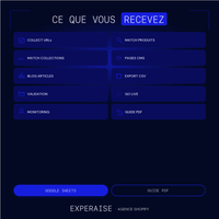 Template 301 migration Shopify Google Sheets — contenu | EXPERAISE