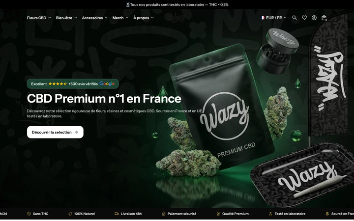 Capture de la page d’accueil de Wazy